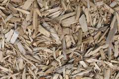 biomass boilers Llangynidr